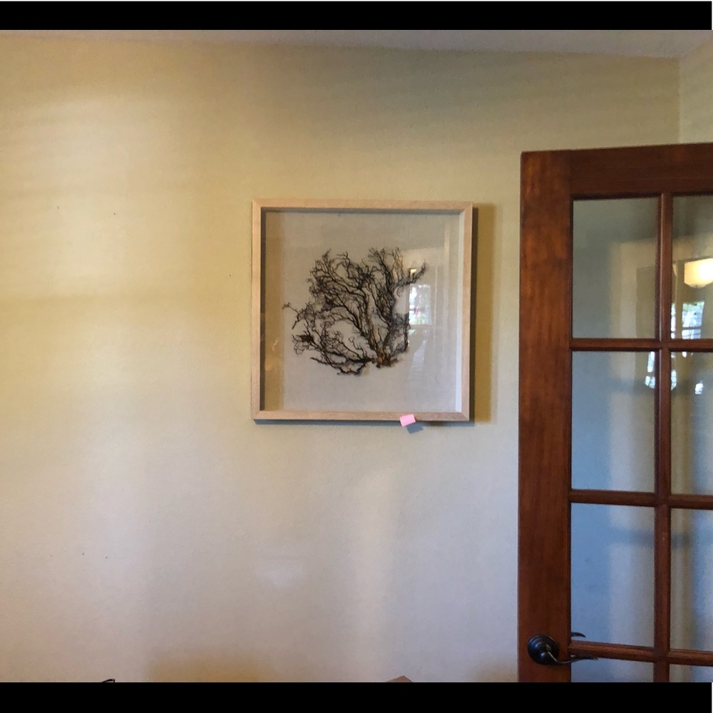 Framed coral (tan/brown)